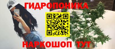 бутират Сланцы