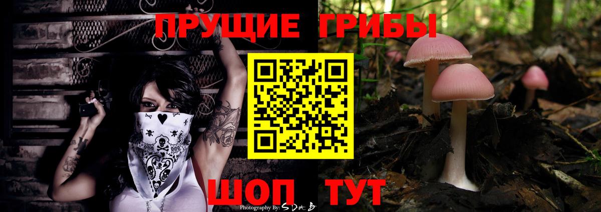 Галлюциногенные грибы Psilocybe  магазин    Орёл  Псилоцибиновые грибы ЛСД  Вход с VPN 